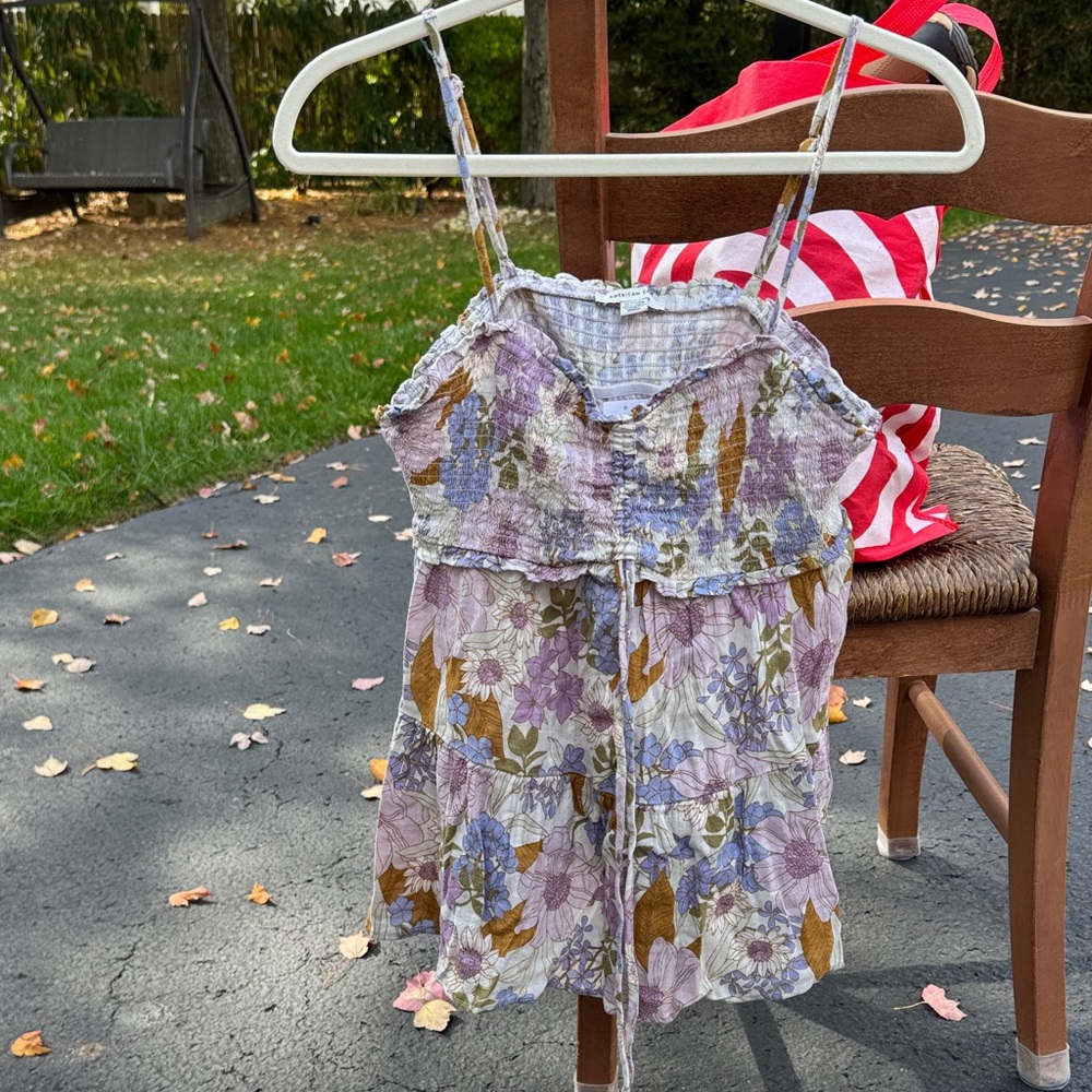 American Eagle Outfitters Floral Dress with Purple and Brown Accents